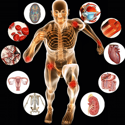 فیزیولوژی 2 فیزیولوژی
